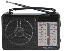 Портативний радіоприймач GOLON RX-607AC