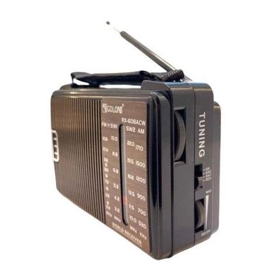 Портативний радіоприймач GOLON RX-608ACW