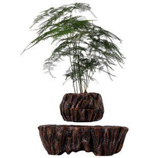Летающий горшок для растений HCNT Magnetic Levitating Pot Brown