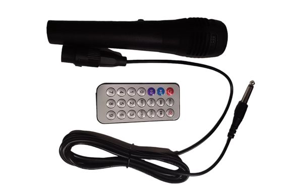 Bluetooth колонка валіза з мікрофоном та підсвічуванням NDR-P66 8 дюймів