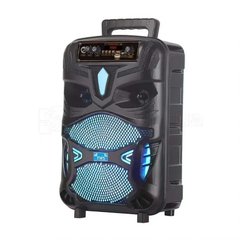 Bluetooth колонка валіза з мікрофоном та підсвічуванням NDR-P55 Big 8 дюймів